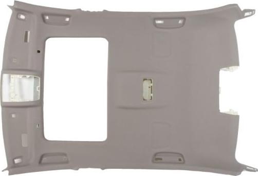 BLIC 6600-00-0067700P - Внутрішня обшивка даху autocars.com.ua