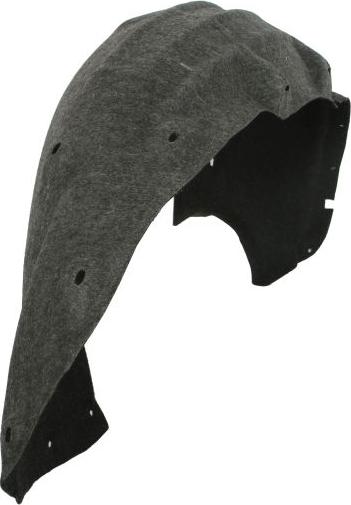 BLIC 6601-01-0035831P - Обшивка, колісна ніша autocars.com.ua