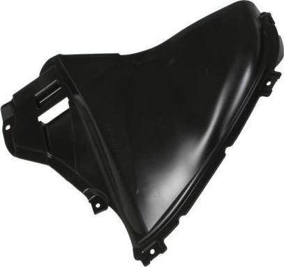 BLIC 6601-01-0068806P - Обшивка, колісна ніша autocars.com.ua