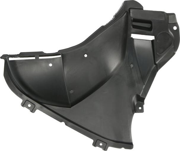 BLIC 6601-01-0068807P - Обшивка, колісна ніша autocars.com.ua