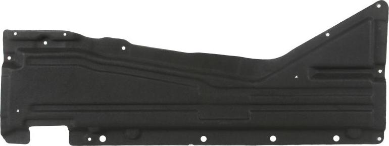 BLIC 6601-02-0096982P - Кожух двигуна autocars.com.ua