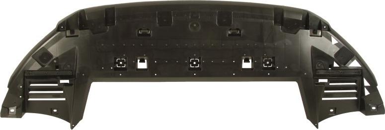 BLIC 6601-02-0538881P - Кожух двигуна autocars.com.ua