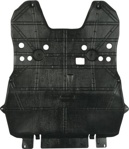 BLIC 6601-02-0539860P - Кожух двигуна autocars.com.ua