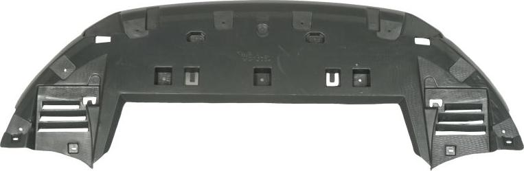 BLIC 6601-02-0539880P - Кожух двигуна autocars.com.ua