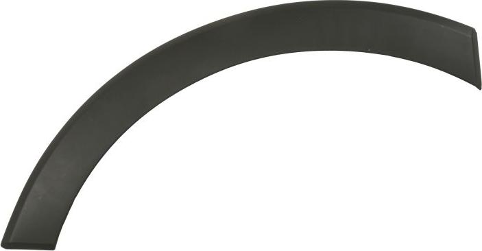 BLIC 6601-02-2518421P - Облицювання / захисна накладка, крило autocars.com.ua