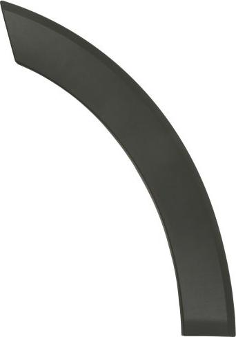 BLIC 6601-02-2518423P - Облицювання / захисна накладка, двері autocars.com.ua