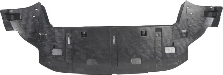 BLIC 6601-02-5519880P - Кожух двигуна autocars.com.ua