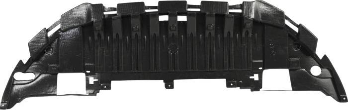 BLIC 6601-02-6046880P - Захист двигуна / піддону двигуна autocars.com.ua