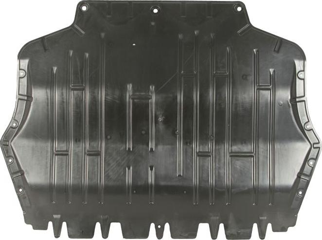 BLIC 6601-05-0000004Q - Кожух двигуна autocars.com.ua