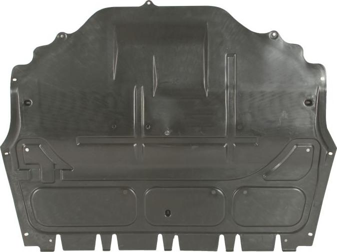 BLIC 6601-05-0000010Q - Кожух двигуна autocars.com.ua