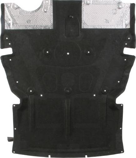 BLIC 6601-05-0000033P - Кожух двигуна autocars.com.ua