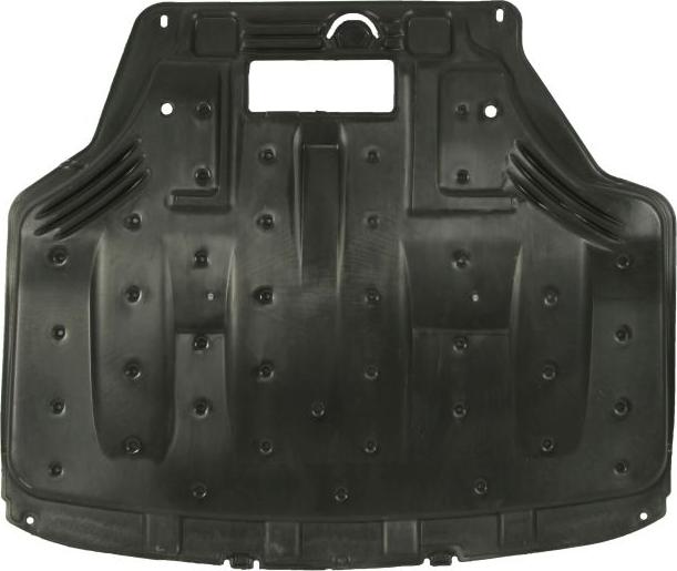 BLIC 6601-05-0000039Q - Кожух двигуна autocars.com.ua