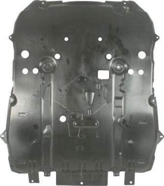 BLIC 6601-05-0000051Q - Кожух двигуна autocars.com.ua