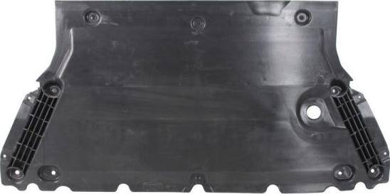 BLIC 6601-05-0000055Q - Кожух двигуна autocars.com.ua