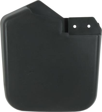 BLIC 6601-06-0000025Q - Передня стінка autocars.com.ua