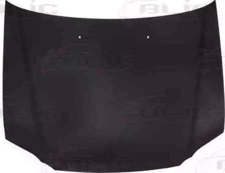 BLIC 6803-00-2955281P - Капот двигуна autocars.com.ua