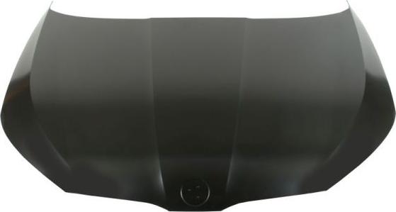 BLIC 6803-00-7519280P - Капот двигуна autocars.com.ua