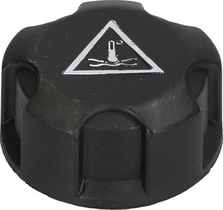 BLIC 6904-09-054470P - Кришка, резервуар охолоджуючої рідини autocars.com.ua