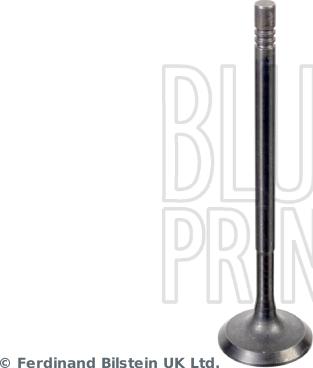 Blue Print ADBP610041 - Впускной клапан avtokuzovplus.com.ua