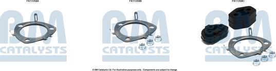 BM Catalysts FK11259 - Монтажний комплект, сажовий / частковий фільтр autocars.com.ua