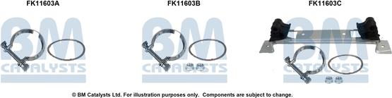 BM Catalysts FK11603 - Монтажний комплект, сажовий / частковий фільтр autocars.com.ua