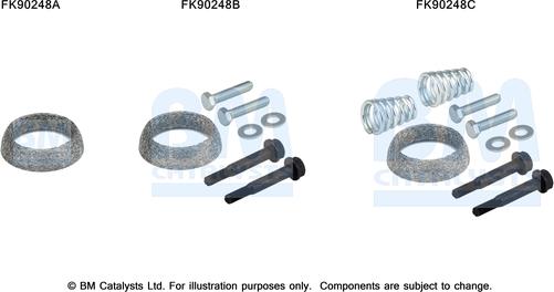 BM Catalysts FK90248 - Монтажний комплект, каталізатор autocars.com.ua