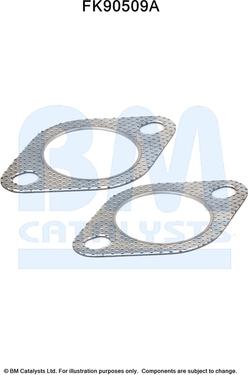 BM Catalysts FK90509 - Монтажний комплект, каталізатор autocars.com.ua