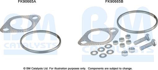 BM Catalysts FK90665 - Монтажный комплект, катализатор avtokuzovplus.com.ua