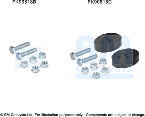 BM Catalysts FK90818 - Монтажный комплект, катализатор avtokuzovplus.com.ua