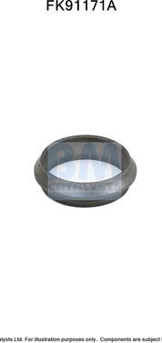 BM Catalysts FK91171 - Монтажний комплект, каталізатор autocars.com.ua