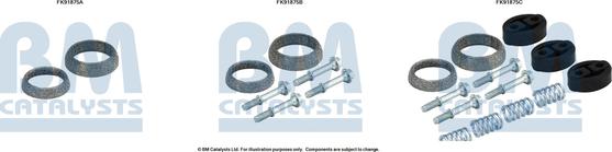 BM Catalysts FK91875 - Монтажний комплект, каталізатор autocars.com.ua