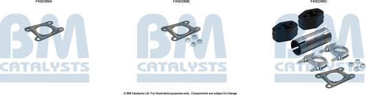 BM Catalysts FK92289 - Монтажний комплект, каталізатор autocars.com.ua