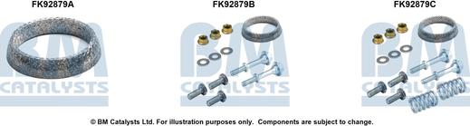 BM Catalysts FK92879 - Монтажный комплект, катализатор autodnr.net