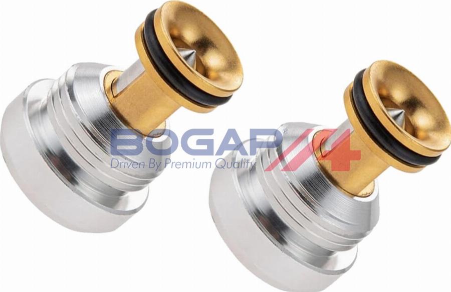 BOGAP A1338113 - Клапан підтримки тиску масла autocars.com.ua