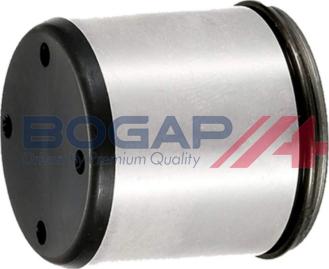 BOGAP A1628100 - Штовхач, насос високого тиску autocars.com.ua