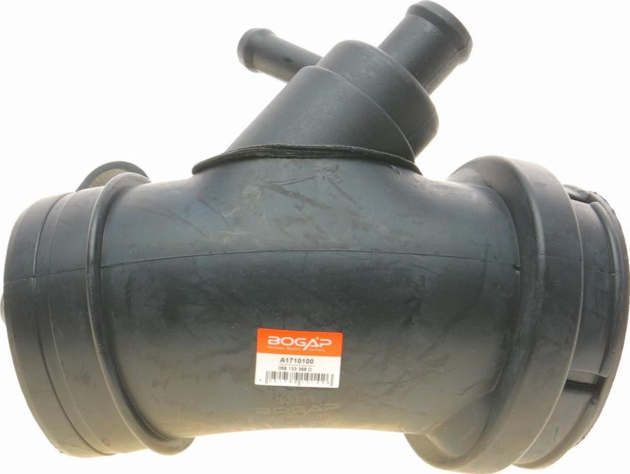 BOGAP A1710100 - Рукав повітрозабірника, повітряний фільтр autocars.com.ua