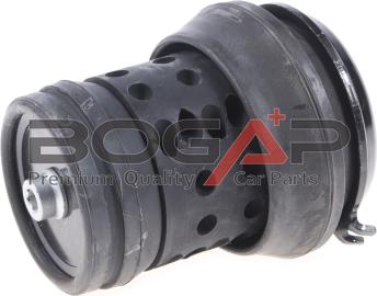 BOGAP A1911101 - Подушка, підвіска двигуна autocars.com.ua