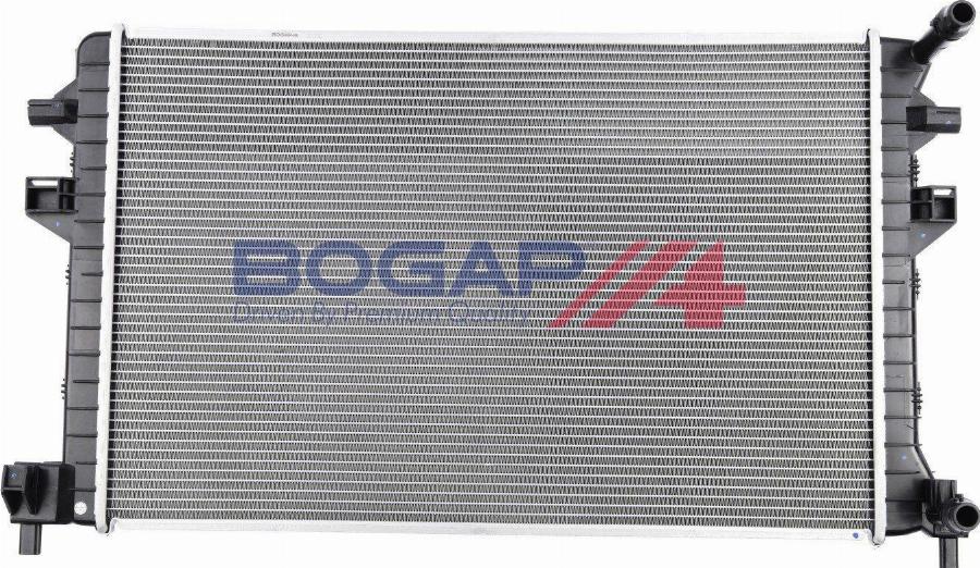 BOGAP A4210134 - Компенсаційний бак, охолоджуюча рідина autocars.com.ua