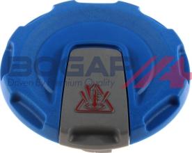 BOGAP A4211105 - Кришка, резервуар охолоджуючої рідини autocars.com.ua