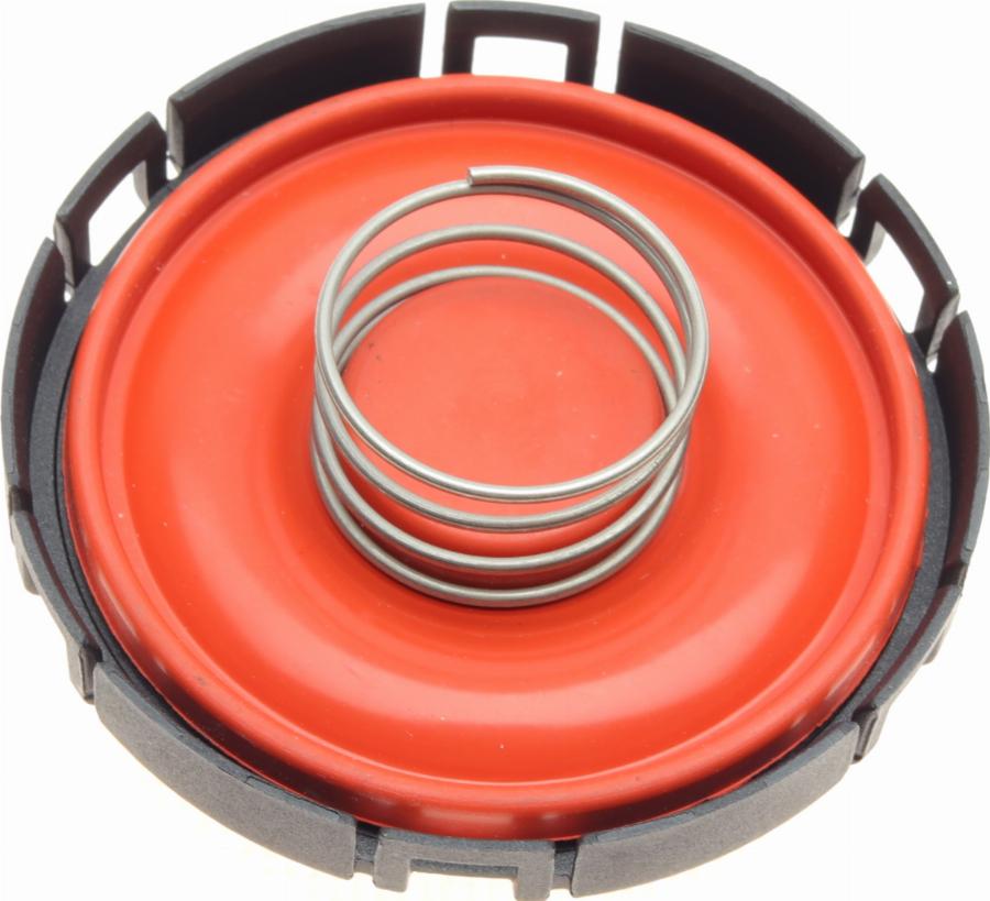 BOGAP B1116106 - Клапан, відведення повітря з картера autocars.com.ua