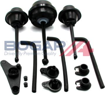 BOGAP C1716100 - Комплект прокладок, впускний колектор autocars.com.ua