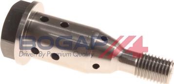 BOGAP L1338103 - Регулюючий клапан, виставлення розподільного вала autocars.com.ua