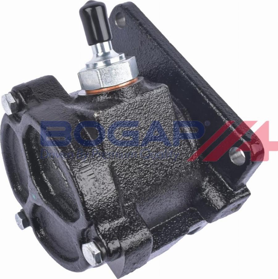BOGAP W1916102 - Вакуумний насос, гальмівна система autocars.com.ua