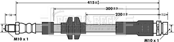 Borg & Beck BBH7376 - Тормозной шланг avtokuzovplus.com.ua