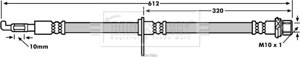 Borg & Beck BBH7881 - Тормозной шланг avtokuzovplus.com.ua