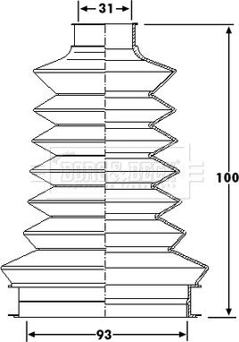 Borg & Beck BCB6202 - Пыльник, приводной вал autodnr.net