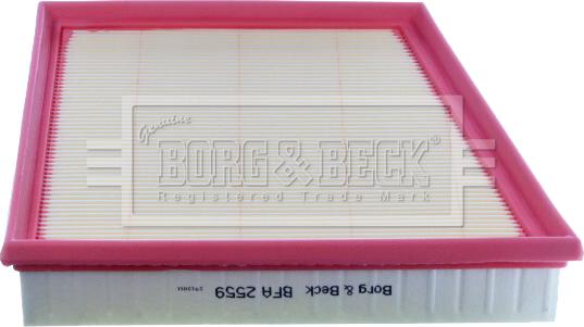 Borg & Beck BFA2559 - Воздушный фильтр autodnr.net