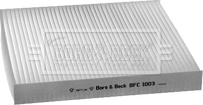Borg & Beck BFC1003 - Фільтр, повітря у внутрішній простір autocars.com.ua