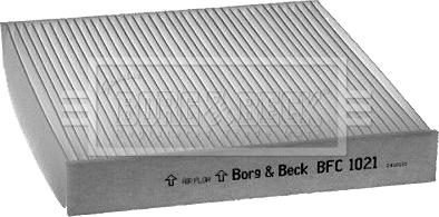 Borg & Beck BFC1021 - Фільтр, повітря у внутрішній простір autocars.com.ua