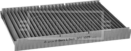 Borg & Beck BFC1025 - Фільтр, повітря у внутрішній простір autocars.com.ua